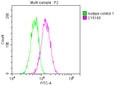 Goat polyclonal to rabbit IgG at 1/40000 dilution
