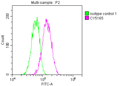 Goat polyclonal to rabbit IgG at 1/40000 dilution