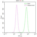 Overlay Peak curve showing Hela cells stained with CSB-RA561936A0HU (red line) at 1:50. The cells were fixed in 4% formaldehyde and permeated by 0.2% TritonX-100. Then 10% normal goat serum to block non-specific protein-protein interactions followed by the antibody (1µg/1*10 6 cells) for 45min at 4℃. The secondary antibody used was FITC-conjugated Goat Anti-rabbit IgG(H+L) at 1:200 dilution for 35min at 4℃.Control antibody (green line) was rabbit IgG (1µg/1*10 6 cells) used under the same conditions.