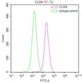 Overlay Peak curve showing HepG2 cells stained with CSB-RA566409A0HU (red line) at 1:100. The cells were fixed in 4% formaldehyde and permeated by 0.2% TritonX-100 for 10min. Then 10% normal goat serum to block non-specific protein-protein interactions followed by the antibody (1ug/1*10 6 cells) for 45min at 4℃.