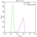 Overlay Peak curve showing A549 cells stained with CSB-RA568273A0HU (red line) at 1:100. The cells were fixed in 4% formaldehyde and permeated by 0.2% TritonX-100 for 10min. Then 10% normal goat serum to block non-specific protein-protein interactions followed by the antibody (1ug/1*10 6 cells) for 45min at 4℃.