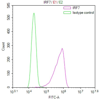Overlay Peak curve showing A549 cells stained with CSB-RA568273A0HU (red line) at 1:100. The cells were fixed in 4% formaldehyde and permeated by 0.2% TritonX-100 for 10min. Then 10% normal goat serum to block non-specific protein-protein interactions followed by the antibody (1ug/1*10 6 cells) for 45min at 4℃.