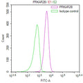 Overlay Peak curve showing jurkat cells stained with CSB-RA573401A0HU (red line) at 1:100. The cells were fixed in 4% formaldehyde and permeated by 0.2% TritonX-100 for 10min. Then 10% normal goat serum to block non-specific protein-protein interactions followed by the antibody (1ug/1*10 6 cells) for 45min at 4℃.