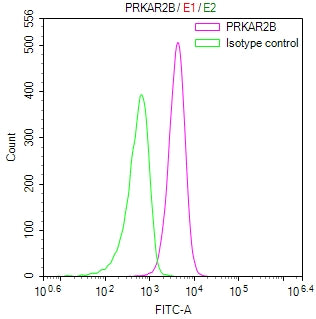 Overlay Peak curve showing jurkat cells stained with CSB-RA573401A0HU (red line) at 1:100. The cells were fixed in 4% formaldehyde and permeated by 0.2% TritonX-100 for 10min. Then 10% normal goat serum to block non-specific protein-protein interactions followed by the antibody (1ug/1*10 6 cells) for 45min at 4℃.