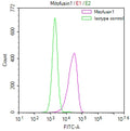 Overlay Peak curve showing HepG2 cells stained with CSB-RA574476A0HU (red line) at 1:50. The cells were fixed in 4% formaldehyde and permeated by 0.2% TritonX-100. Then 10% normal goat serum to block non-specific protein-protein interactions followed by the antibody (1µg/1*10 6 cells) for 45min at 4℃. The secondary antibody used was FITC-conjugated Goat Anti-rabbit IgG(H+L) at 1:200 dilution for 35min at 4℃.Control antibody (green line) was rabbit IgG (1µg/1*10 6 cells) used under the same conditions.