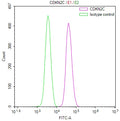 Overlay Peak curve showing jurkat cells stained with CSB-RA580611A0HU (red line) at 1:100. The cells were fixed in 4% formaldehyde and permeated by 0.2% TritonX-100 for 10min. Then 10% normal goat serum to block non-specific protein-protein interactions followed by the antibody (1ug/1*10 6 cells) for 45min at 4℃.