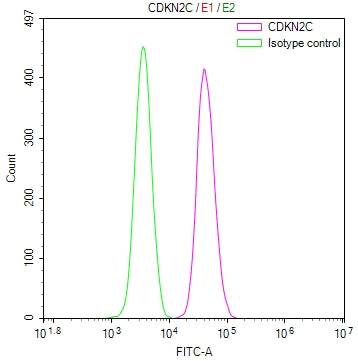 Overlay Peak curve showing jurkat cells stained with CSB-RA580611A0HU (red line) at 1:100. The cells were fixed in 4% formaldehyde and permeated by 0.2% TritonX-100 for 10min. Then 10% normal goat serum to block non-specific protein-protein interactions followed by the antibody (1ug/1*10 6 cells) for 45min at 4℃.