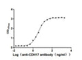 The Binding Activity of Human CDH17 with Anti-CDH17 Recombinant AntibodyActivity: Measured by its binding ability in a functional ELISA. Immobilized Human CDH17 (CSB-MP613267HU) at 2 μg/mL can bind Anti-CDH17 recombinant antibody, the EC<sub>50</sub> is 3.095-4.451 ng/mL.