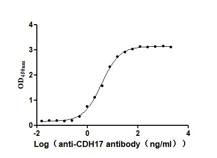 The Binding Activity of Human CDH17 with Anti-CDH17 Recombinant AntibodyActivity: Measured by its binding ability in a functional ELISA. Immobilized Human CDH17 (CSB-MP613267HU) at 2 μg/mL can bind Anti-CDH17 recombinant antibody, the EC<sub>50</sub> is 3.095-4.451 ng/mL.