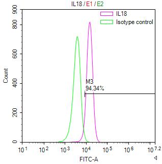 Overlay Peak curve showing A549 cells stained with CSB-RA614514MA1HU (red line) at 1:200. The cells were fixed in 4% formaldehyde and permeated by 0.2% TritonX-100. Then 10% normal goat serum to block non-specific protein-protein interactions followed by the antibody (1ug/1*10 6 cells) for 45min at 4℃. The secondary antibody used was FITC-conjugated Goat Anti-Human IgG(H+L) at 1:200 dilution for 35min at 4℃.Control antibody (green line) was human IgG (1ug/1*10 6 cells) used under the same conditions.