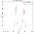 SCGB1A1 Recombinant Monoclonal Antibody – Figure 1 of 1