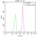 Overlay Peak curve showing jurkat cells stained with CSB-RA616024A0HU (red line) at 1:100. The cells were fixed in 4% formaldehyde and permeated by 0.2% TritonX-100 for 10min. Then 10% normal goat serum to block non-specific protein-protein interactions followed by the antibody (1ug/1*10 6 cells) for 45min at 4℃.
