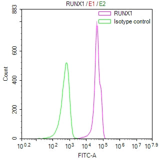 Overlay Peak curve showing jurkat cells stained with CSB-RA616024A0HU (red line) at 1:100. The cells were fixed in 4% formaldehyde and permeated by 0.2% TritonX-100 for 10min. Then 10% normal goat serum to block non-specific protein-protein interactions followed by the antibody (1ug/1*10 6 cells) for 45min at 4℃.