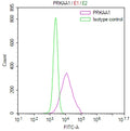 Overlay Peak curve showing Hela cells stained with CSB-RA618759MA1HU (red line) at 1:100. The cells were fixed in 4% formaldehyde and permeated by 0.2% TritonX-100 for 10min. Then 10% normal goat serum to block non-specific protein-protein interactions followed by the antibody (1ug/1*10 6 cells) for 45min at 4℃.