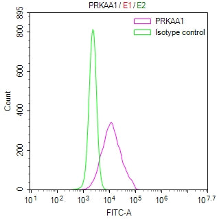 Overlay Peak curve showing Hela cells stained with CSB-RA618759MA1HU (red line) at 1:100. The cells were fixed in 4% formaldehyde and permeated by 0.2% TritonX-100 for 10min. Then 10% normal goat serum to block non-specific protein-protein interactions followed by the antibody (1ug/1*10 6 cells) for 45min at 4℃.