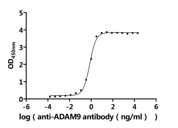 The Binding Activity of Human ADAM9 with Anti-ADAM9 Recombinant AntibodyActivity: Measured by its binding ability in a functional ELISA. Immobilized Human ADAM9 (CSB-MP618774HU) at 2 μg/mL can bind Anti-ADAM9 recombinant antibody. The EC<sub>50</sub> is 0.9401-1.088 ng/mL.