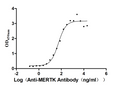 The Binding Activity of MERTK with anti-MERTK antibody.
Activity: Measured by its binding ability in a functional ELISA. Immobilized MERTK at 2 μg/mL can bind anti-MERTK antibody(CSB-RA621519A1HU) , the EC<sub>50</sub> is 41.31-72.08 ng/mL.