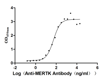 The Binding Activity of MERTK with anti-MERTK antibody.
Activity: Measured by its binding ability in a functional ELISA. Immobilized MERTK at 2 μg/mL can bind anti-MERTK antibody(CSB-RA621519A1HU) , the EC<sub>50</sub> is 41.31-72.08 ng/mL.