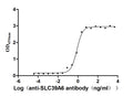 The Binding Activity of SLC39A6 with anti-SLC39A6 antibodyActivity: Measured by its binding ability in a functional ELISA. Immobilized Human SLC39A6(CSB-BP621669HU) at 1 μg/ml can bind Anti-SLC39A6-1 recombinant antibody, the EC<sub>50</sub> is 0.6873-0.9010 ng/mL.