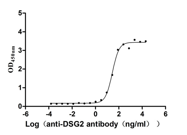 The Binding Activity of DSG2 with anti-DSG2 antibodyActivity: Measured by its binding ability in a functional ELISA. Immobilized Human DSG2 (CSB-MP622752HU) at 2 μg/mL can bind Anti-DSG2 recombinant antibody，the EC<sub>50</sub> is 20.26-38.00 ng/mL.