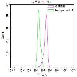 Overlay Peak curve showing Hela cells stained with CSB-RA622928MA1HU (red line) at 1:100. The cells were fixed in 4% formaldehyde (15min) and permeated by 0.2% TritonX-100 for 10min. Then 10% normal goat serum to block non-specific protein-protein interactions followed by the antibody (1ug/1*10 6 cells) for 45min at 4℃. The secondary antibody used was FITC-conjugated Goat Anti-Mouse IgG(H+L) at 1/200 dilution for 35 min at 4°C.