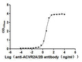 The Binding Activity of Human ACVR2A with Anti-ACVR2A&ACVR2B recombinant antibodyActivity: Measured by its binding ability in a functional ELISA. Immobilized Human ACVR2A(CSB-MP001260HU1) at 2 μg/mL can bind Anti-ACVR2A recombinant antibody . The EC<sub>50</sub> is 3.848-4.375 ng/mL.