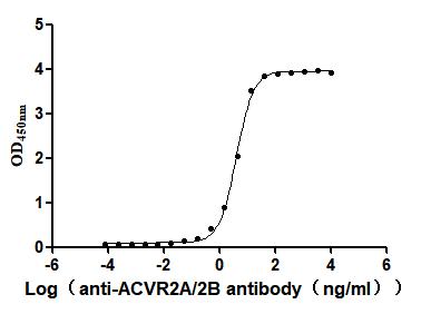 The Binding Activity of Human ACVR2A with Anti-ACVR2A&ACVR2B recombinant antibodyActivity: Measured by its binding ability in a functional ELISA. Immobilized Human ACVR2A(CSB-MP001260HU1) at 2 μg/mL can bind Anti-ACVR2A recombinant antibody . The EC<sub>50</sub> is 3.848-4.375 ng/mL.