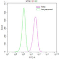 Overlay Peak curve showing PC3 cells surface stained with CSB-RA723415MA1HU (red line) at 1:100. Then 10% normal goat serum to block non-specific protein-protein interactions followed by the antibody (1ug/1*10<sup>6</sup>cells) for 45min at 4℃. The secondary antibody used was FITC-conjugated Goat Anti-human IgG(H+L) at 1:200 dilution for 35min at 4℃.Control antibody (green line) was mouse IgG (1ug/1*10<sup>6</sup>cells) used under the same conditions. Acquisition of >10,000 events was performed.