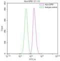 Overlay Peak curve showing jurkat cells stained with CSB-RA727193A0HU (red line) at 1:100. The cells were fixed in 4% formaldehyde and permeated by 0.2% TritonX-100 for 10min. Then 10% normal goat serum to block non-specific protein-protein interactions followed by the antibody (1ug/1*10 6 cells) for 45min at 4℃.