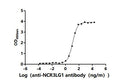 The Binding Activity of Human NCR3LG1 with Anti-NCR3LG1 Recombinant AntibodyActivity: Measured by its binding ability in a functional ELISA. Immobilized Human NCR3LG1(CSB-BP737873HU) at 2 μg/mL can bind Anti-NCR3LG1 recombinant antibody. The EC<sub>50</sub> is 10.90-12.22 ng/mL.