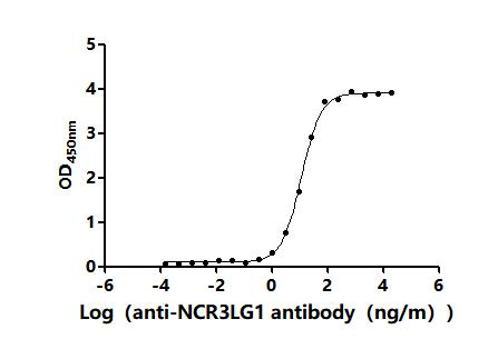 The Binding Activity of Human NCR3LG1 with Anti-NCR3LG1 Recombinant AntibodyActivity: Measured by its binding ability in a functional ELISA. Immobilized Human NCR3LG1(CSB-BP737873HU) at 2 μg/mL can bind Anti-NCR3LG1 recombinant antibody. The EC<sub>50</sub> is 10.90-12.22 ng/mL.