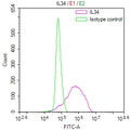 Overlay Peak curve showing MCF-7 cells stained with CSB-RA751146MA1HU (red line) at 1:100. The cells were fixed in 4% formaldehyde and permeated by 0.2% TritonX-100 for 10min. Then 10% normal goat serum to block non-specific protein-protein interactions followed by the antibody (1ug/1*10 6 cells) for 45min at 4℃.