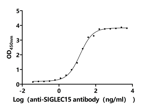 The Binding Activity of Human SIGLEC15 with Anti-SIGLEC15 recombinant antibodyActivity: Measured by its binding ability in a functional ELISA.Immobilized Human SIGLEC15(CSB-MP761623HU) at 5 μg/mL can bind Anti-SIGLEC15 recombinant antibody. The EC<sub>50</sub> is 12.42-16.08 ng/mL.