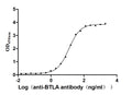 The Binding Activity of Human BTLA with Anti-BTLA Recombinant AntibodyActivity: Measured by its binding ability in a functional ELISA. Immobilized Human BTLA(CSB-MP773799HU1) at 2 μg/mL can bind Anti-BTLA recombinant antibody , the EC<sub>50</sub> is 11.56-13.00 ng/mL.