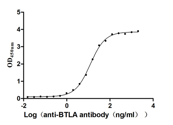 The Binding Activity of Human BTLA with Anti-BTLA Recombinant AntibodyActivity: Measured by its binding ability in a functional ELISA. Immobilized Human BTLA(CSB-MP773799HU1) at 2 μg/mL can bind Anti-BTLA recombinant antibody , the EC<sub>50</sub> is 11.56-13.00 ng/mL.