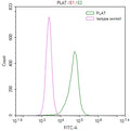 Overlay Peak curve showing Hela cells stained with CSB-RA778654A0HU (red line) at 1:50. The cells were fixed in 4% formaldehyde and permeated by 0.2% TritonX-100. Then 10% normal goat serum to block non-specific protein-protein interactions followed by the antibody (1µg/1*10 6 cells) for 45min at 4℃. The secondary antibody used was FITC-conjugated Goat Anti-rabbit IgG(H+L) at 1:200 dilution for 35min at 4℃.Control antibody (green line) was rabbit IgG (1µg/1*10 6 cells) used under the same conditions.
