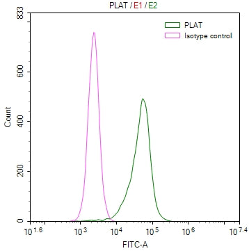 Overlay Peak curve showing Hela cells stained with CSB-RA778654A0HU (red line) at 1:50. The cells were fixed in 4% formaldehyde and permeated by 0.2% TritonX-100. Then 10% normal goat serum to block non-specific protein-protein interactions followed by the antibody (1µg/1*10 6 cells) for 45min at 4℃. The secondary antibody used was FITC-conjugated Goat Anti-rabbit IgG(H+L) at 1:200 dilution for 35min at 4℃.Control antibody (green line) was rabbit IgG (1µg/1*10 6 cells) used under the same conditions.