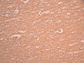 IHC image of CSB-RA783404A0HU diluted at 1:100 and staining in paraffin-embedded human brain tissue performed on a Leica BondTM system. After dewaxing and hydration, antigen retrieval was mediated by high pressure in a citrate buffer (pH 6.0). Section was blocked with 10% normal goat serum 30min at RT. Then primary antibody (1% BSA) was incubated at 4°C overnight. The primary is detected by a Goat anti-rabbit polymer IgG labeled by HRP and visualized using 0.05% DAB.