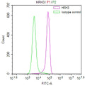 Overlay Peak curve showing SH-SY5Y cells surface stained with CSB-RA783626A0HU (red line) at 1:50. Then 10% normal goat serum to block non-specific protein-protein interactions followed by the antibody (1µg/1*10<sup>6</sup>cells) for 45min at 4℃. The secondary antibody used was FITC-conjugated Goat Anti-rabbit IgG(H+L) at 1:200 dilution for 35min at 4℃.Control antibody (green line) was rabbit IgG (1µg/1*10<sup>6</sup>cells) used under the same conditions. Acquisition of >10,000 events was performed.