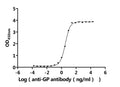 The Binding Activity of CCHFV GP with Anti-GP recombinant antibodyActivity: Measured by its binding ability in a functional ELISA. Immobilized CCHFV GP (CSB-MP810349CSC2) at 2 μg/mL can bind Anti-GP recombinant antibody. The EC<sub>50</sub> is 3.136-3.585 ng/mL.