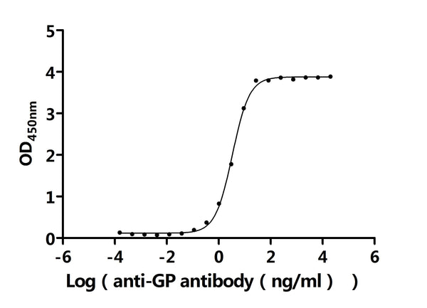 The Binding Activity of CCHFV GP with Anti-GP recombinant antibodyActivity: Measured by its binding ability in a functional ELISA. Immobilized CCHFV GP (CSB-MP810349CSC2) at 2 μg/mL can bind Anti-GP recombinant antibody. The EC<sub>50</sub> is 3.136-3.585 ng/mL.
