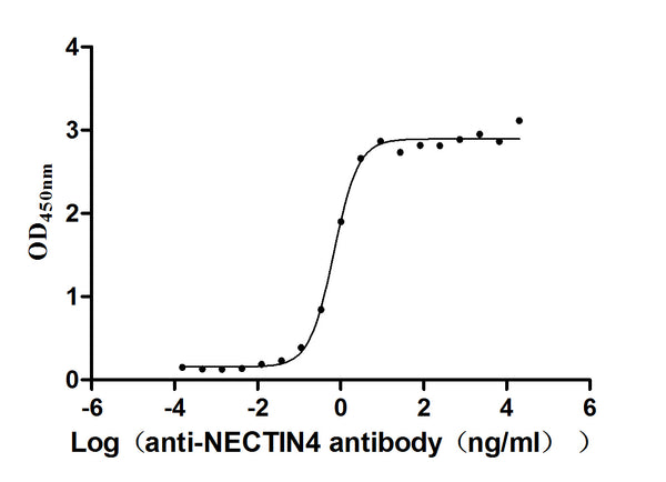 The Binding Activity of NECTIN4 with Anti-NECTIN4 recombinant antibody
Activity: Measured by its binding ability in a functional ELISA. Immobilized Human NECTIN4(CSB-MP822274HU) at 2 μg/mL can bind Anti-NECTIN4 recombinant antibody, the EC<sub>50</sub> is 0.6029-0.7837 ng/mL.