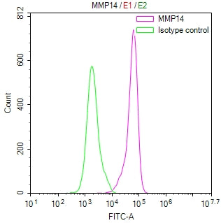 Overlay Peak curve showing A431 cells stained with CSB-RA834513A0HU (red line) at 1:100. The cells were fixed in 4% formaldehyde and permeated by 0.2% TritonX-100 for 10min. Then 10% normal goat serum to block non-specific protein-protein interactions followed by the antibody (1ug/1*10 6 cells) for 45min at 4℃.