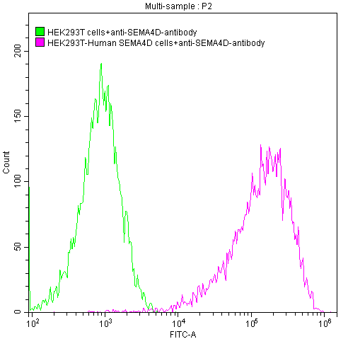 Untransfected HEK293T cells surface (green line) and transfected Human SEMA4D HEK293T stable cells surface (red line) were stained with anti-SEMA4D antibody (2µg/1*10<sup>6</sup> cells) , washed and then followed by FITC-conjugated anti-Human IgG Fc antibody and analyzed with flow cytometry.