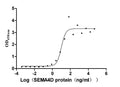 The Binding Activity of Mouse Sema4d with Anti-SEMA4D recombinant antibody
Activity: Measured by its binding ability in a functional ELISA. Immobilized Anti-SEMA4D recombinant antibody at 2 μg/mL can bind Mouse Sema4d (CSB-MP020990MO) , the EC<sub>50</sub> is 5.829-16.86 ng/mL.