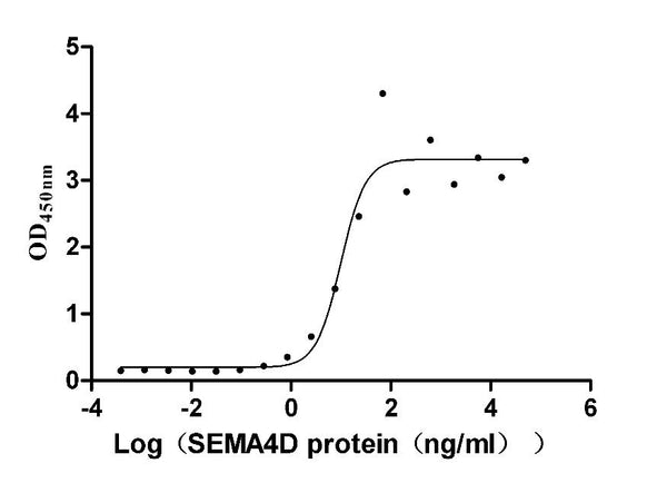 The Binding Activity of Mouse Sema4d with Anti-SEMA4D recombinant antibody
Activity: Measured by its binding ability in a functional ELISA. Immobilized Anti-SEMA4D recombinant antibody at 2 μg/mL can bind Mouse Sema4d (CSB-MP020990MO) , the EC<sub>50</sub> is 5.829-16.86 ng/mL.