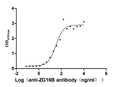The Binding Activity of Human ZG16B with Anti-ZG16B recombinant antibodyActivity: Measured by its binding ability in a functional ELISA. Immobilized Human ZG16B (CSB-MP836195HU) at 2 μg/mL can bind Anti-ZG16B recombinant antibody, the EC<sub>50</sub> is 24.13-46.04 ng/mL.
