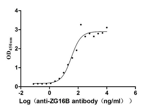 The Binding Activity of Human ZG16B with Anti-ZG16B recombinant antibodyActivity: Measured by its binding ability in a functional ELISA. Immobilized Human ZG16B (CSB-MP836195HU) at 2 μg/mL can bind Anti-ZG16B recombinant antibody, the EC<sub>50</sub> is 24.13-46.04 ng/mL.