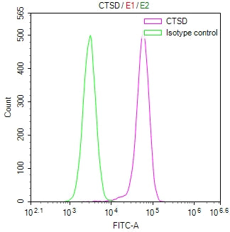Overlay Peak curve showing 786-O cells stained with CSB-RA843881A0HU (red line) at 1:100. The cells were fixed in 4% formaldehyde and permeated by 0.2% TritonX-100 for 10min. Then 10% normal goat serum to block non-specific protein-protein interactions followed by the antibody (1ug/1*10 6 cells) for 45min at 4℃.