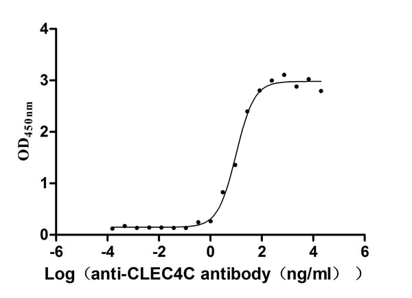 The Binding Activity of CLEC4C with anti-CLEC4C antibodyActivity: Measured by its binding ability in a functional ELISA. Immobilized Human CLEC4C (CSB-MP855470HUh7) at 2 μg/mL can bind Anti-CLEC4C recombinant antibody，the EC<sub>50</sub> is 7.658-12.99 ng/mL.